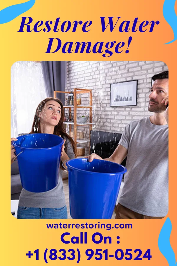water restoration Premier Sewage Cleanup Solutions Tylertown