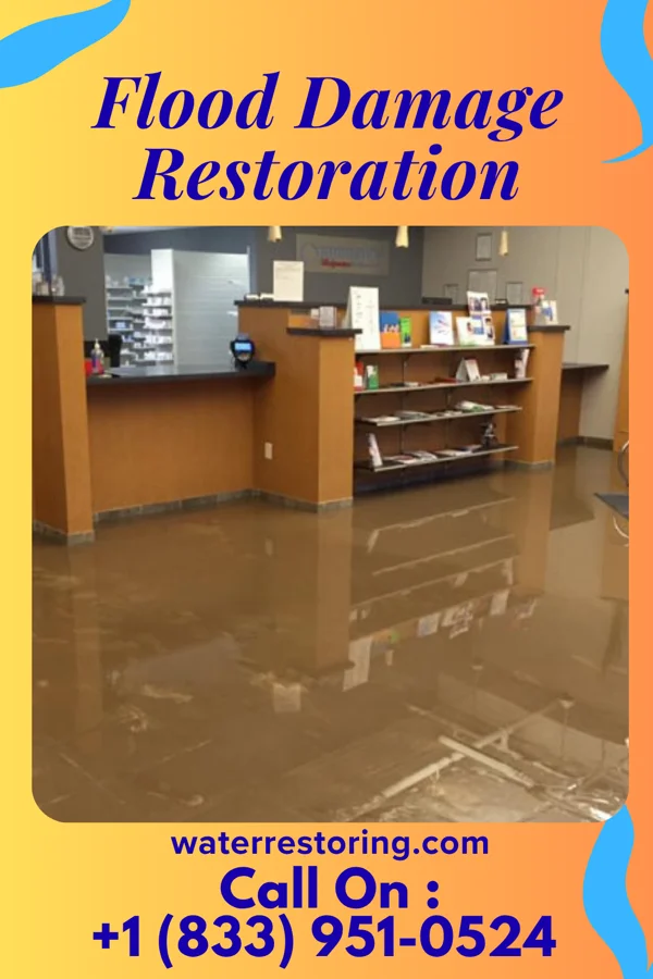 Flood Damage Restoration in Tylertown, MS