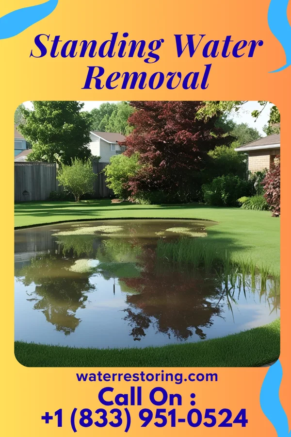 Standing Water Removal in Tylertown, MS